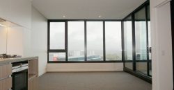 Brand New 1 Bedroom Apartment with panoramic city view!