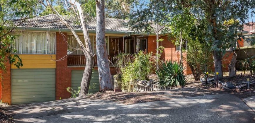 Renovators Delight “Sold AT Auction”