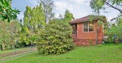 Well maintained brick house facing the reserve with duplex development potential