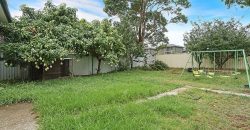 Great Size Family Home On A Convenient Location Of Merrylands West!