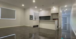 Near New Contemporary & Luxurious 4 Bedroom Home!