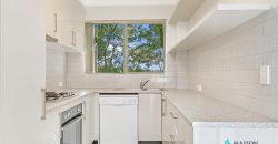 Renovated Full Brick Unit + Double Lockup Garage