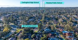 Tastefully Renovated Duplex Like Townhouse, Carlingford High Catchment