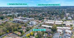 873 sqm, Light-Filled Family Home with Garden Oasis, Carlingford West Catchment