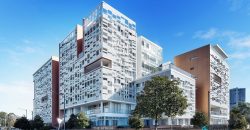 Sundrenched Apartment