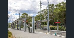 Spacious Family Home in Prime Telopea Location