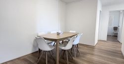 Modern Renovated 2-Bedroom Unit with Lock Up Garage – Furnished Option Available