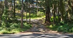 Modern One-Bedroom With Car Space in Prime Beecroft Location