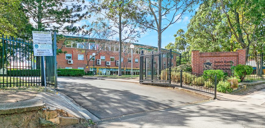 Spacious and Bright North Facing Corner Apartment in a Prime Location