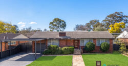 Exceptional Family Entertainer on 909sqm in a Tightly Held Pocket